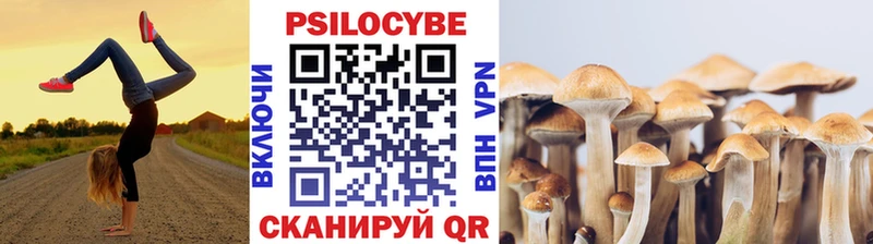 Псилоцибиновые грибы Psilocybine cubensis  Купить где  Болгар 